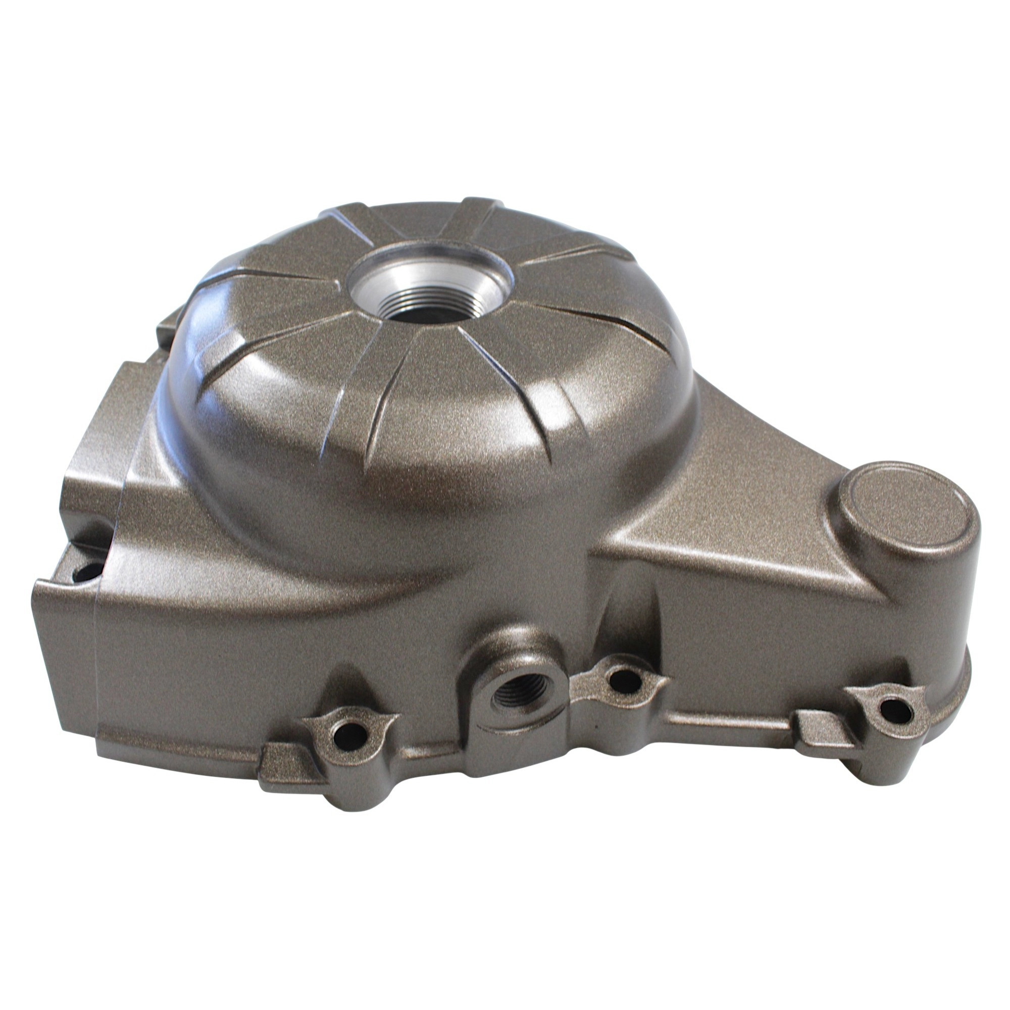 QJ MOTOR SRV 250 VS MOTOR KAPAĞI SOL #RK 66221